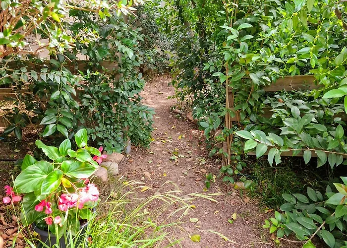 Salvacintoggio Petite 2 Personnes * Porto-Vecchio (Corsica)